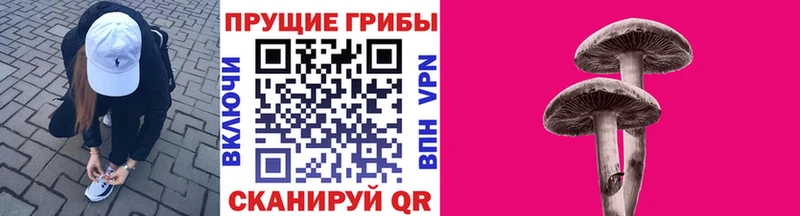 Галлюциногенные грибы Psilocybe  MEGA сайт  Болохово 